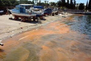 Deniz kirliliği sandılar bakın ne &ccedil;ıktı