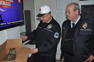 Bursa'da yaralı baykuşa polis şefkati