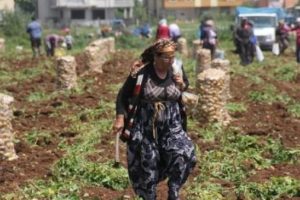 Fiyatı 5 liraya &ccedil;ıkınca vatandaş akın etti