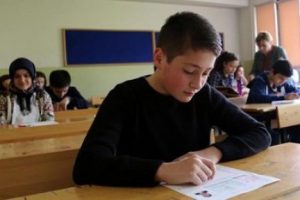 TEOG'da en az 230 net yapan iyi bir okula girecek!