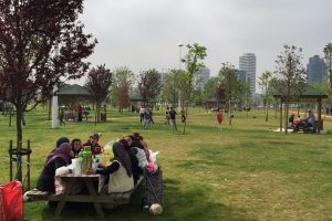 Bursalılar tatili piknik yaparak değerlendirdi