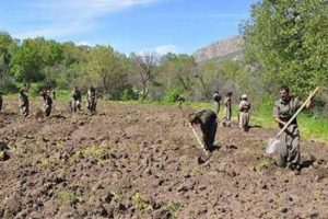 PKK'lıların bu g&ouml;r&uuml;nt&uuml;leri &ccedil;ok şaşırttı!