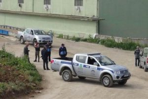 Edincik'te kuş gribi karantinası
