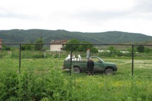 Bursa'da kuş gribi ş&uuml;phesi!
