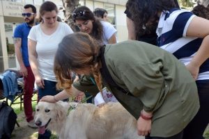 Terapist k&ouml;pekler sınav kaygısını ortadan kaldırıyor