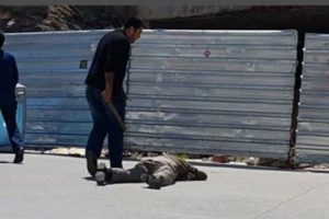 İstanbul'da vahşet: Zabıta seyyar satıcıyı bayıltana kadar d&ouml;vd&uuml;
