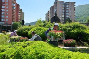 Bursa Yıldırım yazı 100 bin &ccedil;i&ccedil;ekle karşılıyor