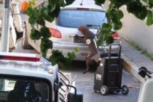 Beyoğlu'nda ş&uuml;pheli ara&ccedil;tan bakın ne &ccedil;ıktı?