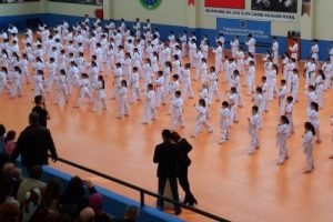 Kul&uuml;pler Gemlik'te Tatami'ye iniyor