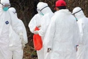 Kuş gribi ş&uuml;phesiyle 161 bin tavuk itlaf edildi
