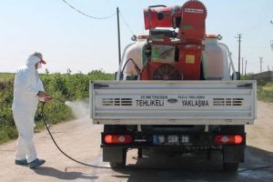 İzmir'de kuş gribi karantinası!
