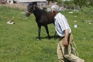 5 bin lira maaşlı &ccedil;oban işi bıraktı!
