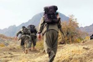 PKK iş makinesi yaktı