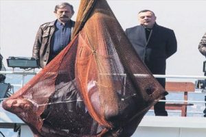 Eşkıya ekrana damga vuracak...