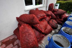 5 ton ka&ccedil;ak midye ve deniz patlıcanı ele ge&ccedil;irildi