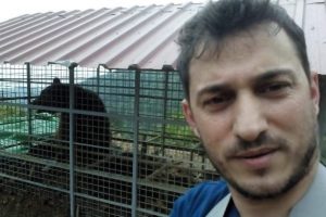 Arı kovanına dadanan ayıya kafesli tuzak