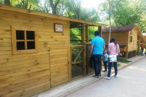 Bursa K&uuml;lt&uuml;r Park hayvanat bah&ccedil;esi tekrar ziyarete a&ccedil;ıldı
