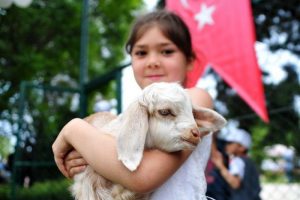 Uşak'ta "En iyi besi hayvanı" yarışması d&uuml;zenlendi
