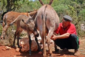 Litresi 200 TL ama hastalara bedava