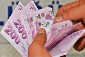 Bunu yapana devlet her ay 735 lira veriyor