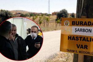 Giresun'da 4 kişiye "şarbon" teşhisi
