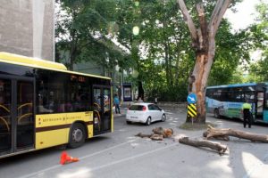 Yola devrilen anıt &ccedil;ınar faciaya neden oluyordu