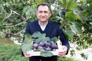 Siyah incir 30 milyon dolar kazandırdı