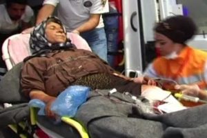 Esed Tel Fırat'ı bombaladı