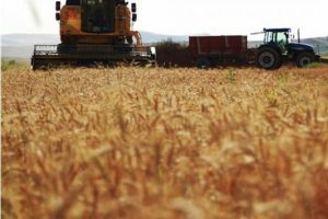 FAO: K&uuml;resel gıda fiyatları 6 yılın d&uuml;ş&uuml;k d&uuml;zeyine geriledi