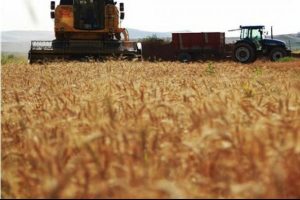 FAO : K&uuml;resel gıda fiyatları 6 yılın d&uuml;ş&uuml;k d&uuml;zeyine geriledi