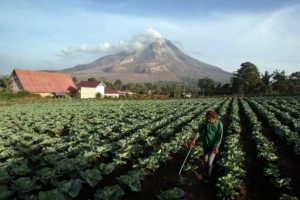 Sinabung yanardağı harekete ge&ccedil;ti
