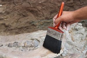 Kanada'da 68 milyon yıllık dinozor fosili bulundu