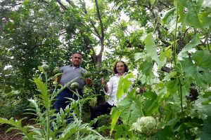 Bursa Mudanya enginarı, &uuml;reticinin alternatif &uuml;r&uuml;n&uuml;