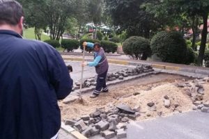 Fidan etkinliğine yol engeli