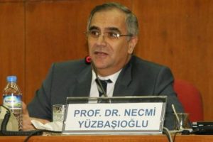 Prof. Y&uuml;zbaşıoğlu: H&uuml;k&uuml;met kurulmadan da meclis t&uuml;m yetkilerini kullanabilir