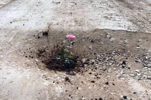 Bursalı vatandaşlardan 'zarif' protesto! G&uuml;l&uuml; diktiler!