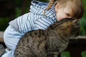 Dikkat, kedi beslemek şizofren edebilir
