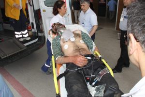 Bursa'da arıların saldırısına uğrayan adam hastanelik oldu