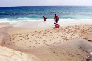 Kleopatra Plajındaki kurt&ccedil;uk sorunu &ccedil;&ouml;z&uuml;ld&uuml;
