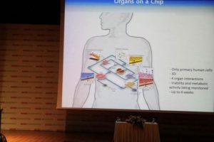 İnsan h&uuml;cresinden organ işlevi g&ouml;ren '&ccedil;ip' &uuml;retildi