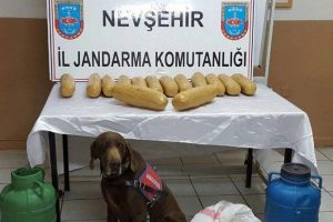 Peynir bidonlarının i&ccedil;inde esrar bulundu
