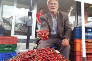 Bursa dağ y&ouml;resinde kirazın fiyatı d&uuml;şt&uuml;