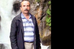 Yoldaki kaplumbağayı kurtarmak isterken canından oldu
