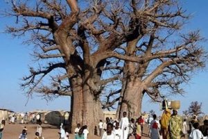 G&uuml;ney Sudan'da milyonlarca kişi a&ccedil;lıkla karşı karşıya