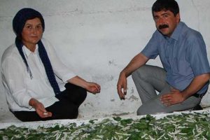 Kafasına koydu b&ouml;cekten para kazandı