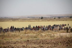 T&uuml;rkiye'ye ka&ccedil; Kobanili yaralı getirildi ?