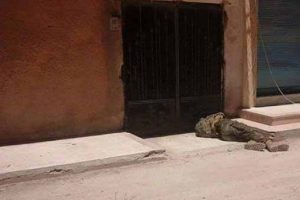 İşte Kobani'ye saldıran o IŞİD'liler