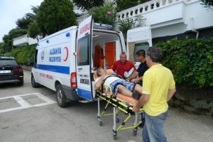 Bursa Mudanya Belediyesi'nden zeytindalı projesi