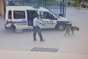 Komiser Yardımıcısı karakol bah&ccedil;esinde k&ouml;pek vurdu