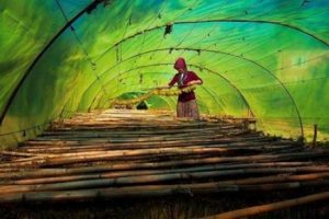 National Geographic T&uuml;rkiye 10. kez yılın fotoğrafını arıyor